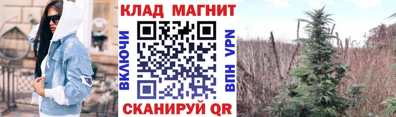Где можно купить наркотики Дигора Бошки Шишки Alpha PVP Гашиш