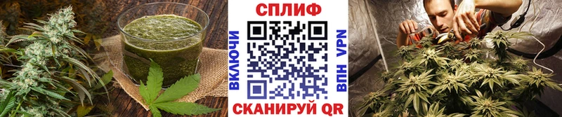 магазин продажи наркотиков  Дигора  Canna-Cookies марихуана 