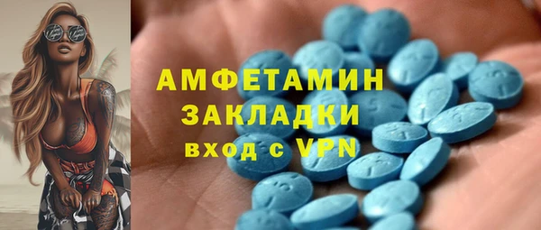 прущие грибы Беломорск