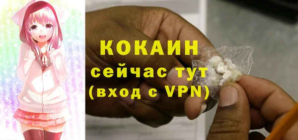 прущие грибы Беломорск