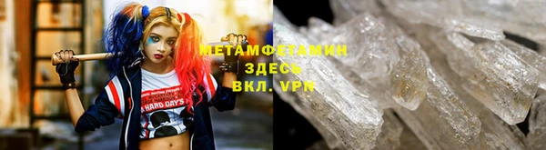прущие грибы Беломорск