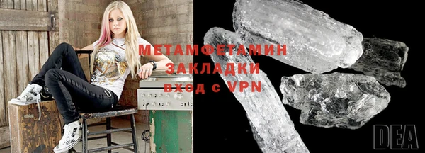 прущие грибы Беломорск