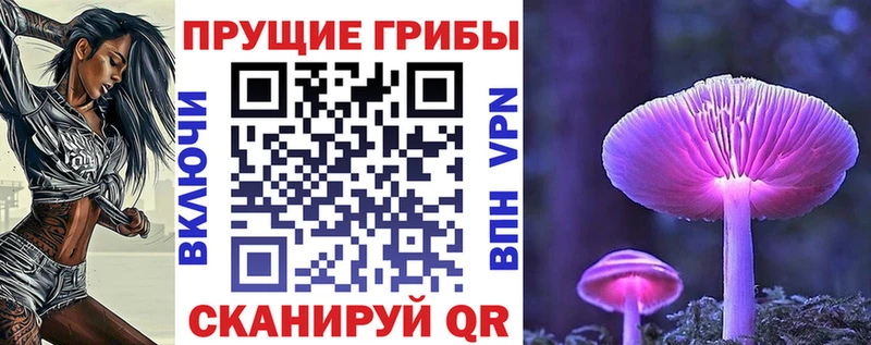 Галлюциногенные грибы Magic Shrooms  Дигора 