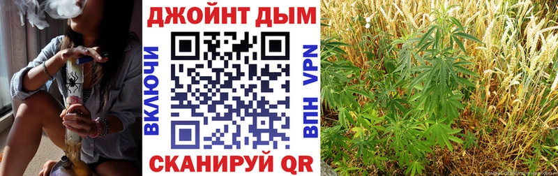 Бошки Шишки конопля  хочу   Дигора 